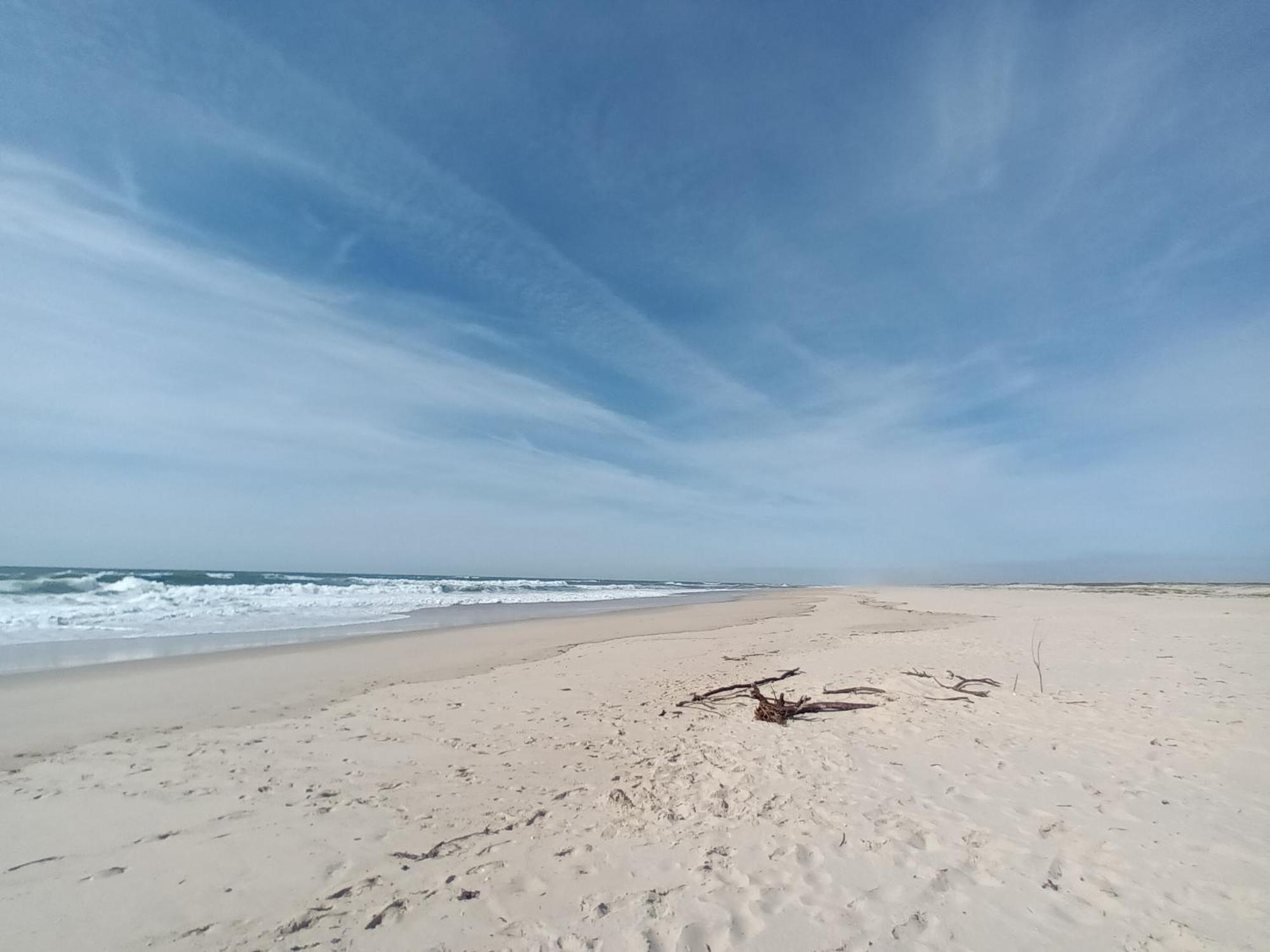 Apartment Close To The Ria De Aveiro, Sao Jacinto Экстерьер фото